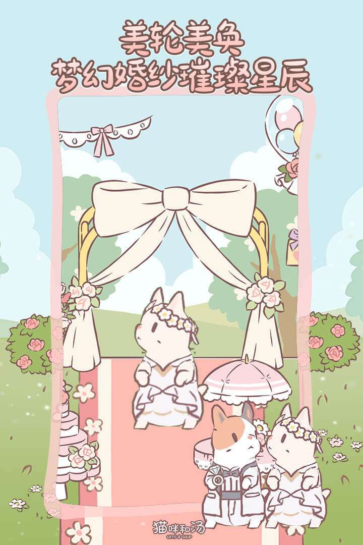 猫咪和汤软件封面