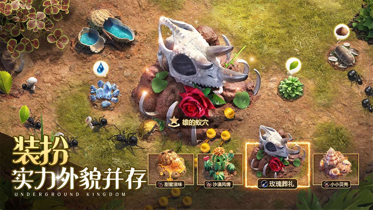 小小蚁国软件封面
