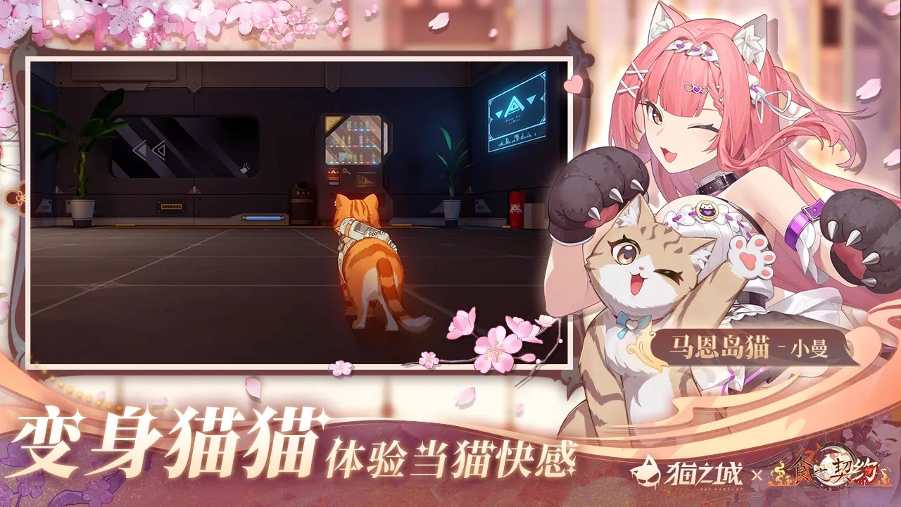 猫之城软件封面