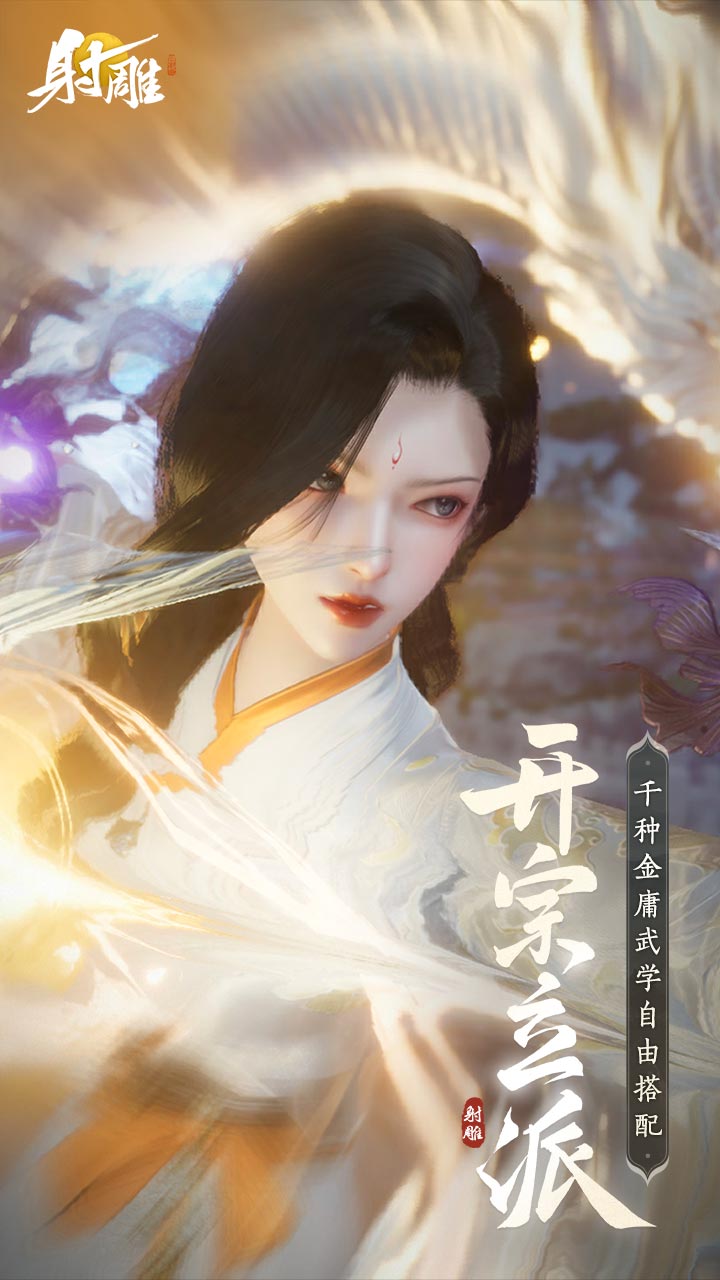 射雕软件封面