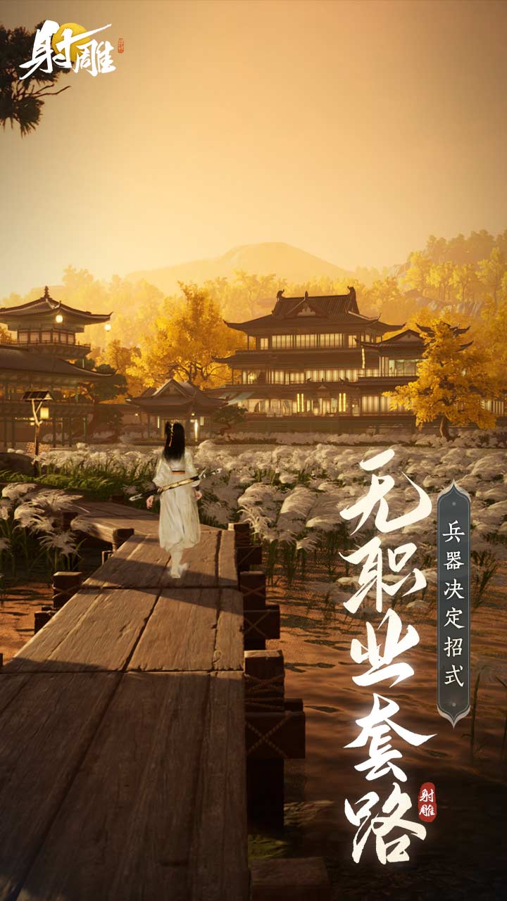 射雕软件封面