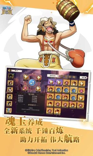 航海王-启航-大海战软件封面