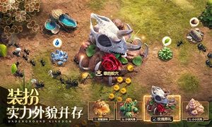 小小蚁国-送648元金甲蚁软件封面