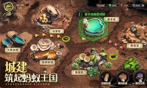 小小蚁国-送648元金甲蚁软件封面