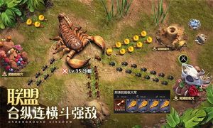 小小蚁国-送648元金甲蚁软件封面