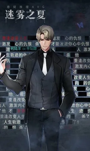 迷雾之夏软件封面