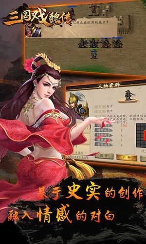 三国戏魏传软件封面