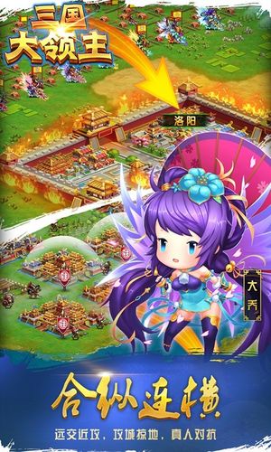 三国大领主软件封面