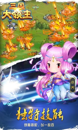 三国大领主软件封面