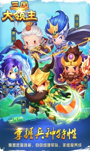 三国大领主软件封面