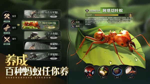 小小蚁国-送周年野怪软件封面