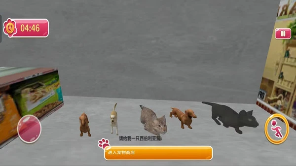 猫咪冒险记-城市猫咪软件封面