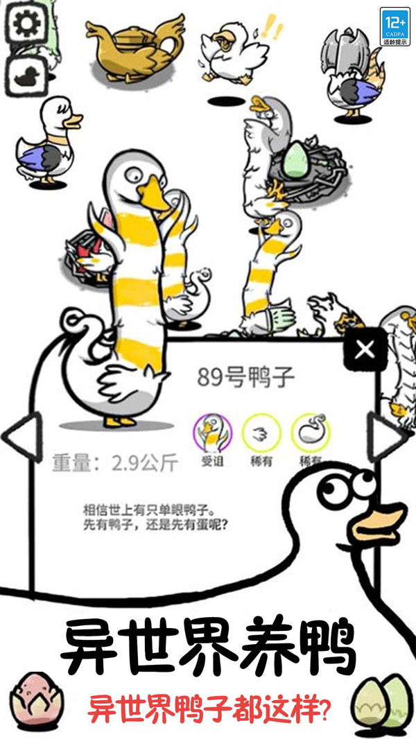 鸭了个鸭软件封面
