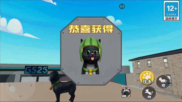 猫咪日常模拟软件封面
