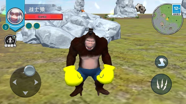 猿族超进化软件封面