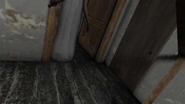 恐怖奶奶5软件封面