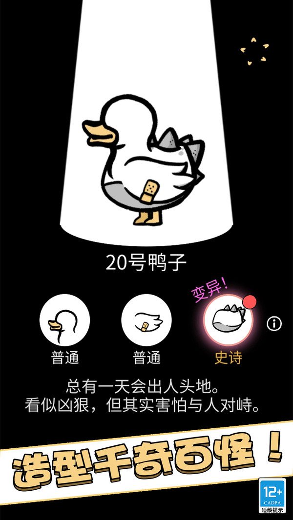 奇怪的鸭子软件封面