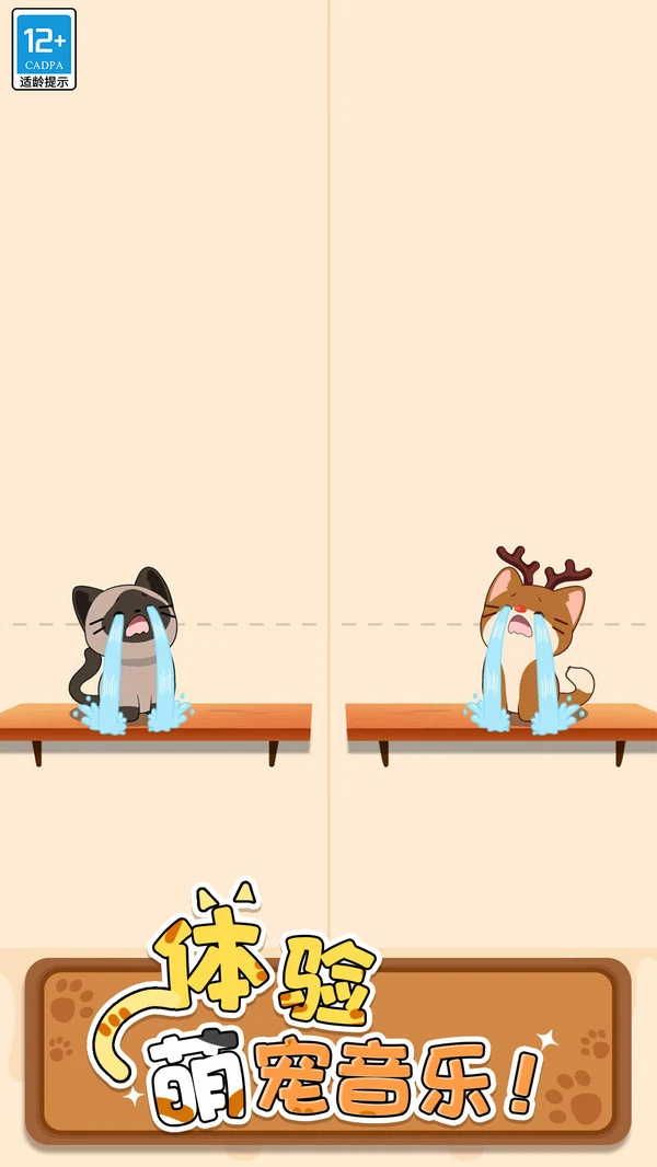 猫咪二重奏软件封面