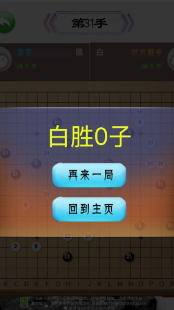 中国围棋软件封面