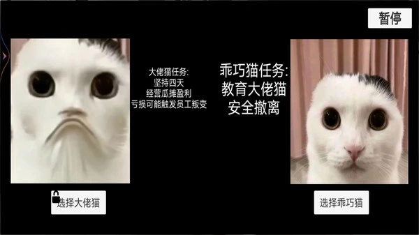 猫猫惊魂夜软件封面