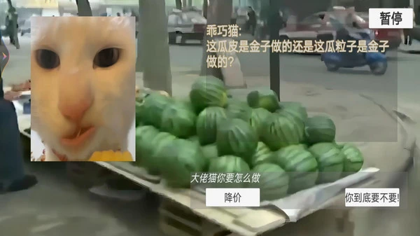 猫猫惊魂夜软件封面