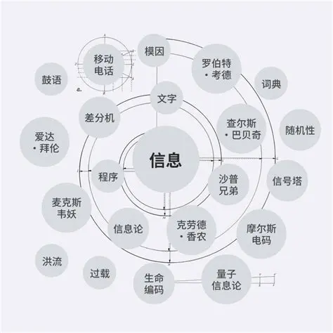整理汇总Z,这篇文章究竟为我们揭示了哪些关键信息
