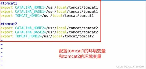 如何在同一台服务器上部署两个Tomcat实例