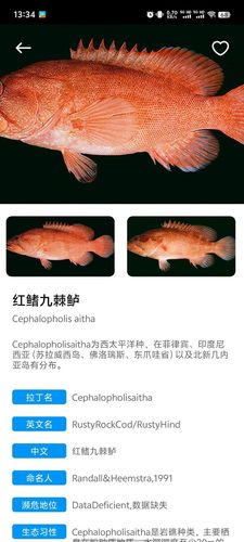 梦幻鱼塘软件封面