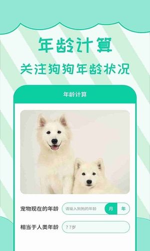 人狗翻译软件封面