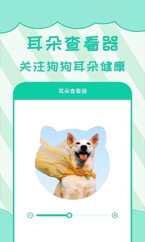 人狗翻译软件封面