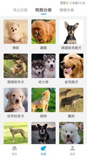 动物翻译器软件封面