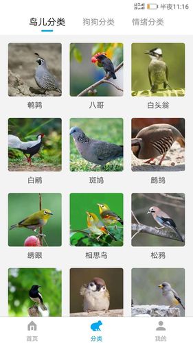 动物翻译器软件封面
