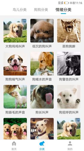 动物翻译器软件封面