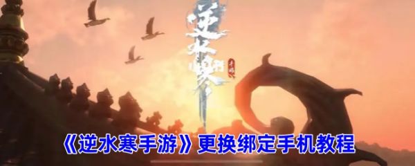 6716cf0bc8f21.png