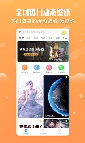 小鸟壁纸软件封面