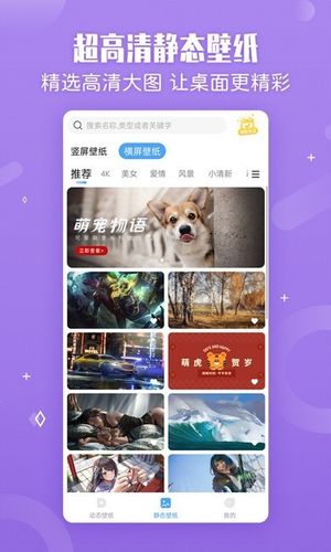 小鸟壁纸软件封面