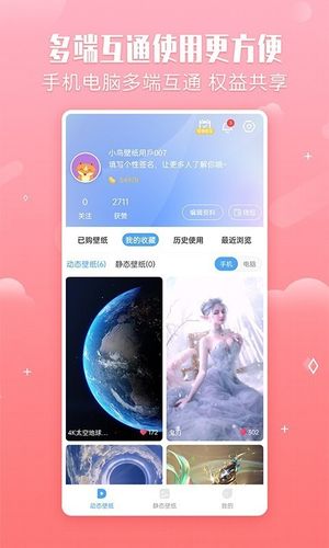小鸟壁纸软件封面