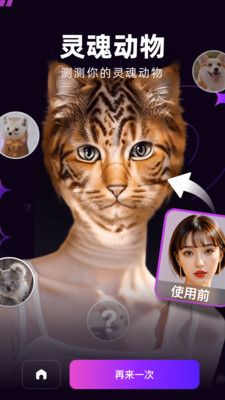 泡福软件封面