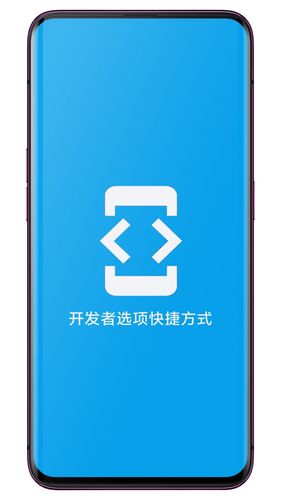 开发者选项快捷方式软件封面