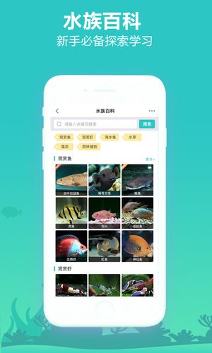 泡泡水族软件封面