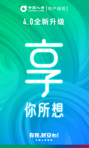 中国人寿财险软件封面