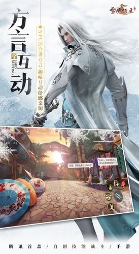 雪鹰领主软件封面