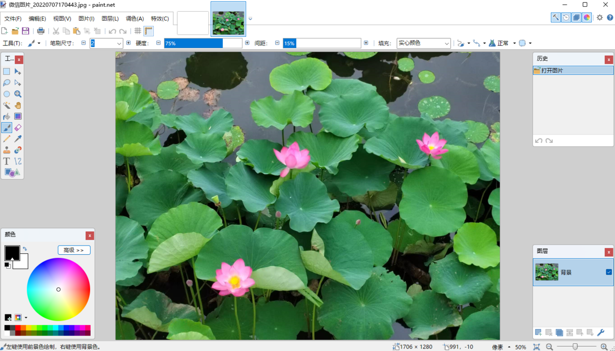 Paint.NET