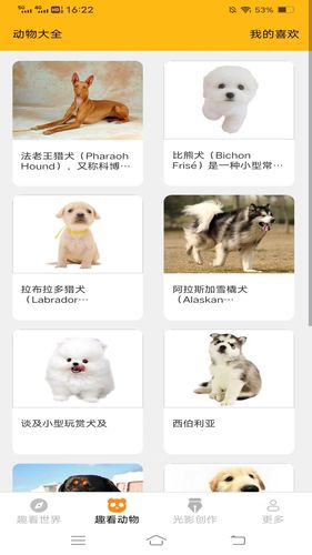 光影趣看软件封面