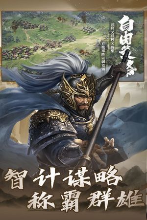 大战国软件封面