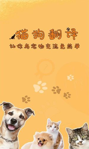 猫狗翻译器软件封面