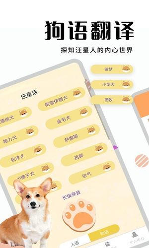猫狗翻译器软件封面