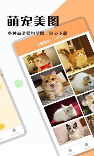 猫狗翻译器软件封面