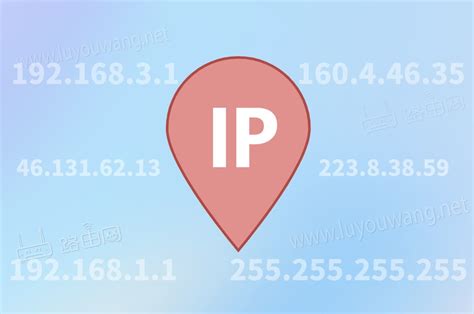 动态域名解析是如何实现域名与IP地址的实时更新的