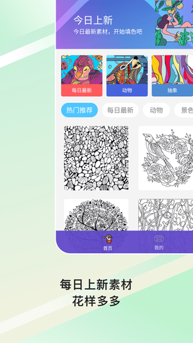 Paint数字填色软件封面